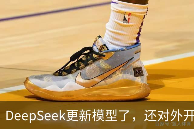 DeepSeek更新模型了，还对外开放了搜索引擎